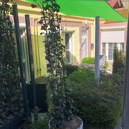 La Bella Centrum Kek Zoeld * Héviz